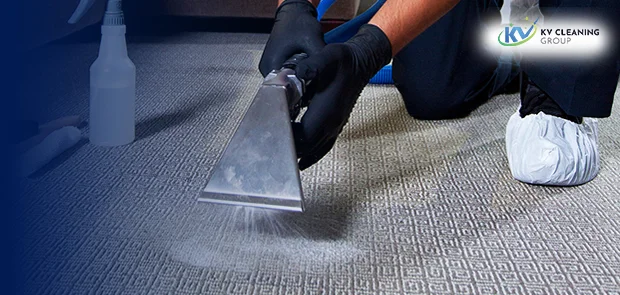 Professional cleaning experts in Sydney