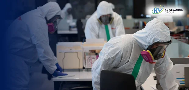 Professional cleaning experts in Sydney