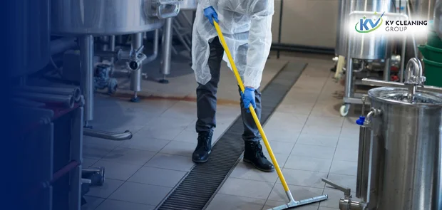 Professional cleaning experts in Sydney