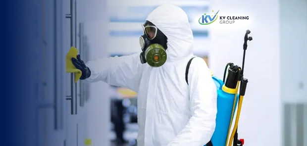 Professional cleaning experts in Sydney