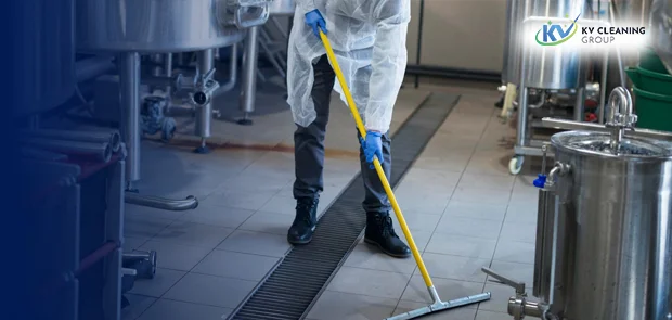 Professional cleaning experts in Sydney