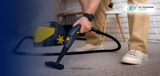 Professional cleaning experts in Sydney