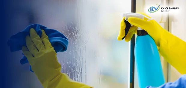 Professional cleaning experts in Sydney