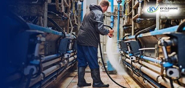 Professional cleaning experts in Sydney