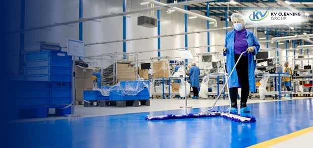 Professional cleaning experts in Sydney