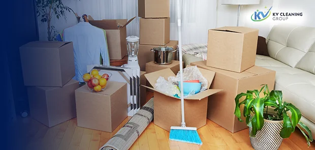 Professional cleaning experts in Sydney