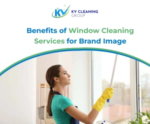 Benefits of Window Cleaning Services for Brand Image