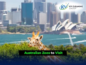 Top Australian Zoos to Visit