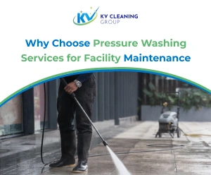 Pressure Washing Services