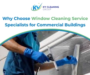 Window Cleaning Service