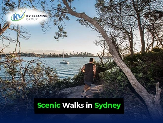 Best Scenic Walks in Sydney