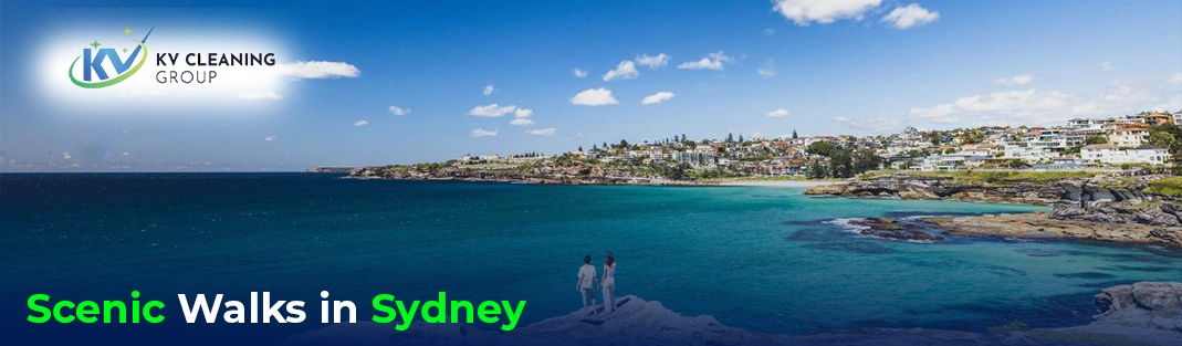 Best Scenic Walks in Sydney