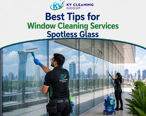 Window Cleaning Services