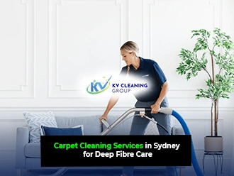 Carpet Cleaning Services