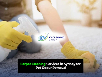 Carpet Cleaning Services