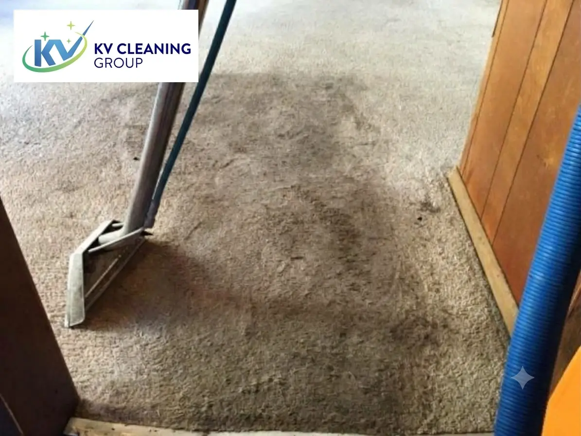 Carpet Looks Flattened in High-Traffic Areas? Here's How to Restore Its Appearance