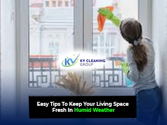 Easy Tips To Keep Your Living Space Fresh