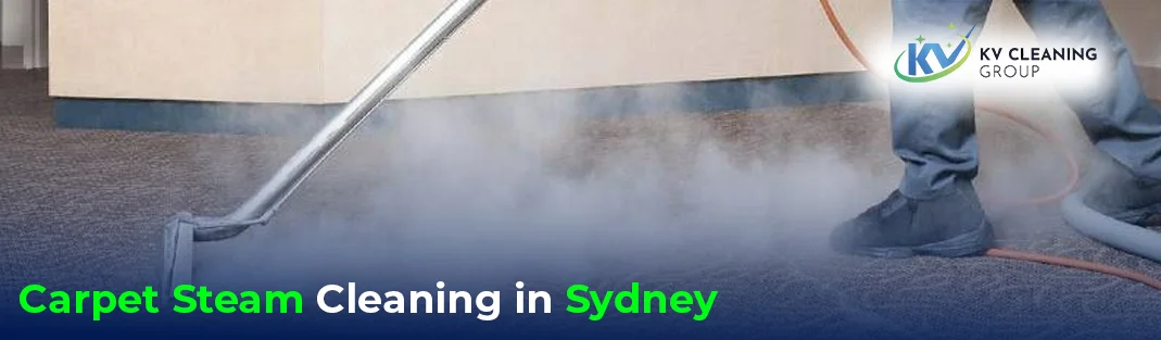 How Much Should You Pay for Carpet Steam Cleaning in Sydney?