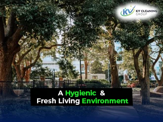 Top Advantages of Maintaining a Fresh Living Atmosphere