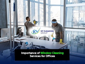 Window Cleaning Services