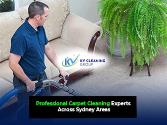 Carpet Cleaning Services