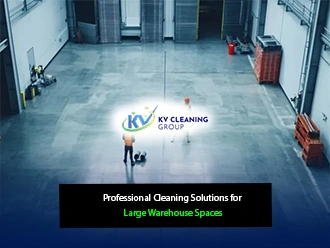 Professional Cleaning Solutions