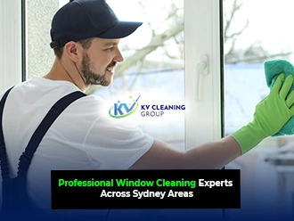 Professional Window Cleaning
