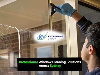 Professional Window Cleaning