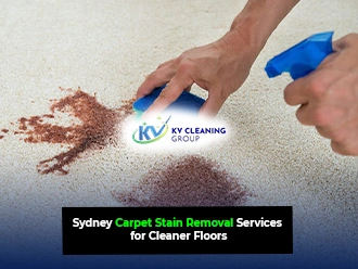 Carpet Cleaning Services