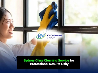 Window Cleaning Services
