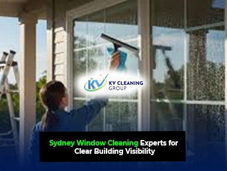 Window Cleaning Services