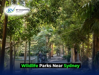 Top Wildlife Parks Near Sydney