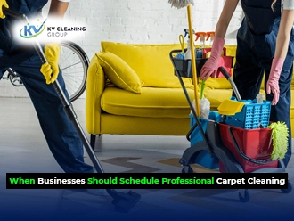 Schedule Professional Carpet Cleaning