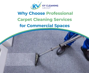 Carpet Cleaning Services