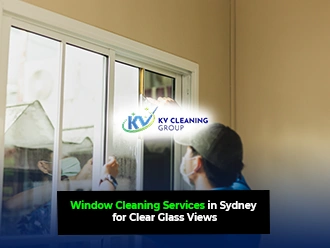 Window Cleaning Services
