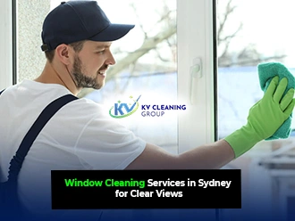 Window Cleaning Services
