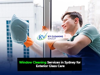 Window Cleaning Services