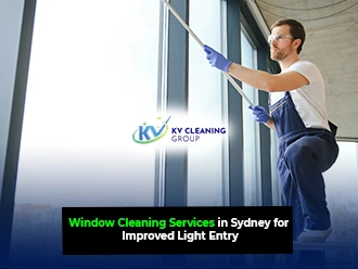 Window Cleaning Services
