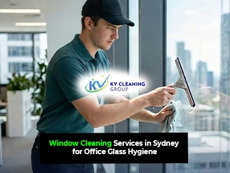 Window Cleaning Services