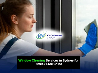 Window Cleaning Services