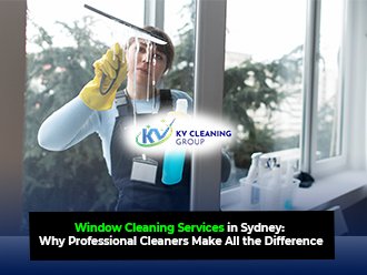 Window Cleaning Services