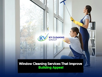 Window Cleaning Services