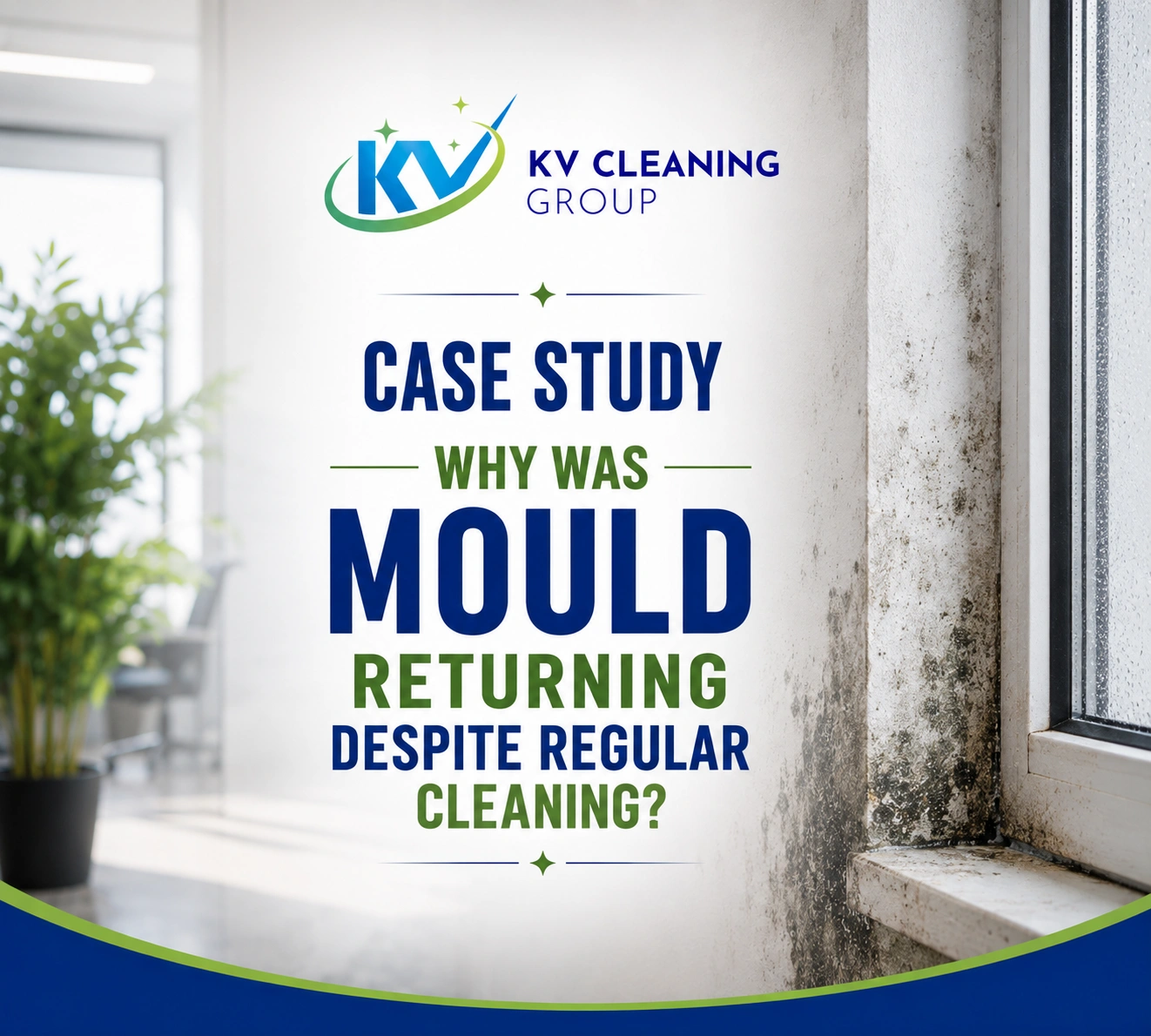 Why Was Mould Returning Despite Regular Cleaning?